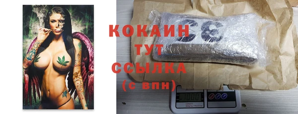 шишки Иннополис