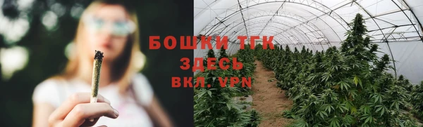 шишки Иннополис
