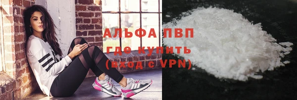 шишки Иннополис