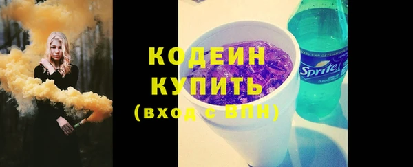 mix Инта