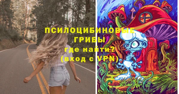 mix Инта