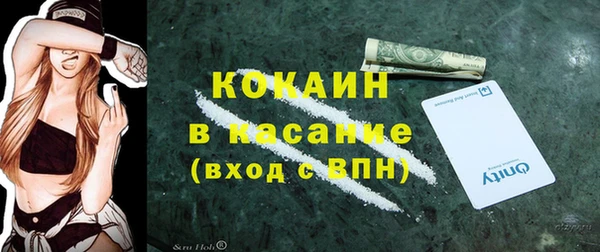 mix Инта