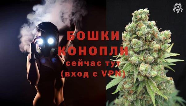 шишки Иннополис