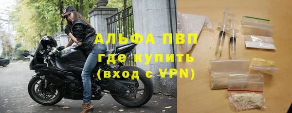 дживик Инсар