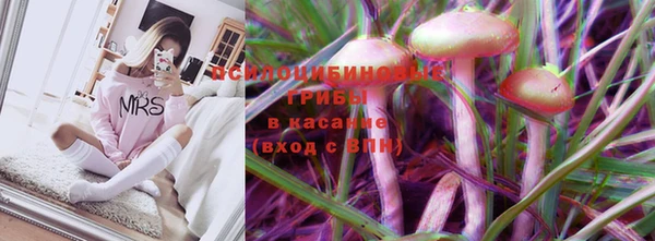 mix Инта