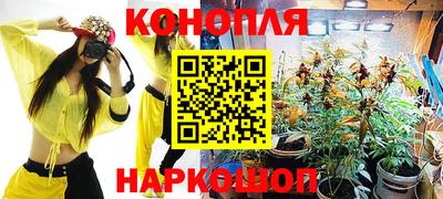 шишки Усть-Илимск