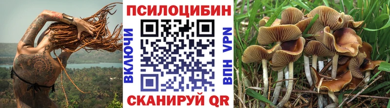 Псилоцибиновые грибы ЛСД  где купить наркотик  Карабулак 