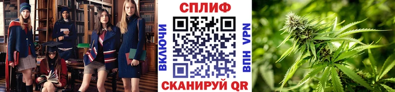 ОМГ ОМГ зеркало  Карабулак  Бошки марихуана Amnesia 